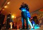 DSC01326